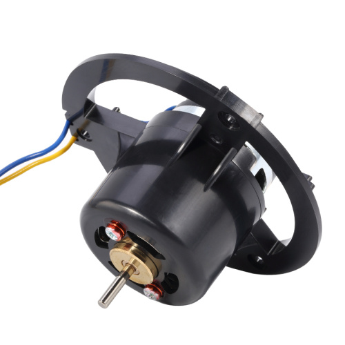FM-36-I3CLA-CF Carbon Brush Motor - MAINTEX