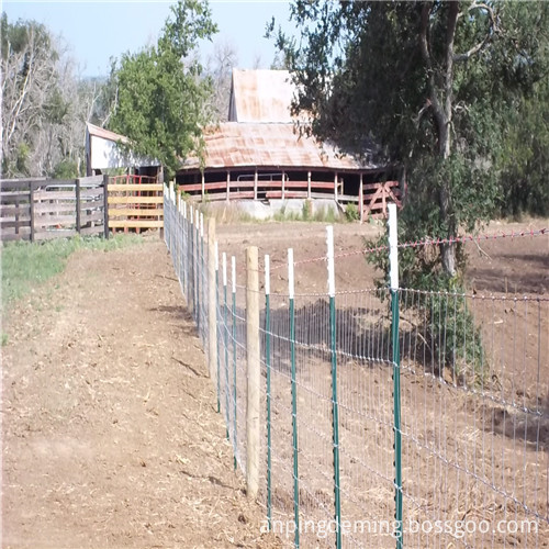 field fence 