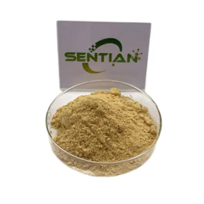 Premium Monk Fruit Extract