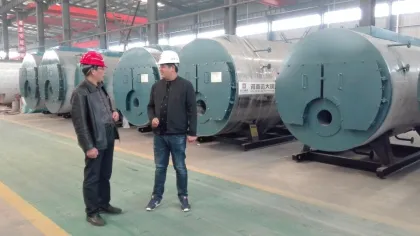 Henan Yuanda gas fired steam boiler 2t