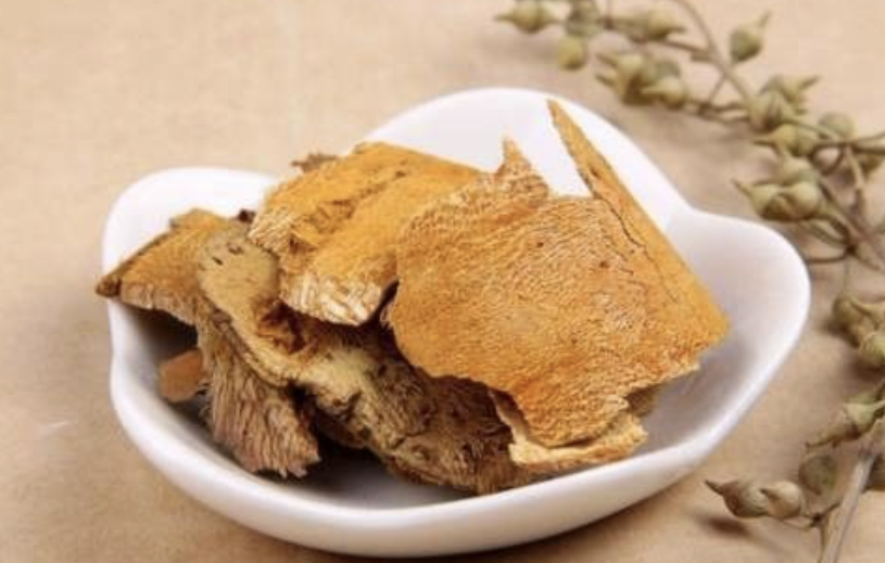 Knotweed Extract Supplier