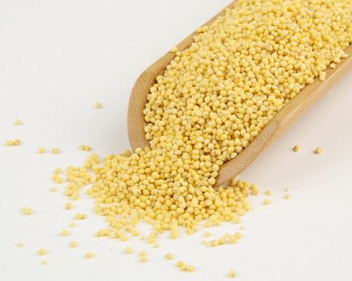 Foxtail Millet 25kg