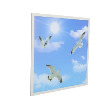 High-Quality LED Panel Lamps: 3500k/6000k/6500k Blue Sky Square Ceiling Lights in 2x2ft and 2x4ft Sizes, Offering 36W, 40W, and 68W Lighting Solutions
