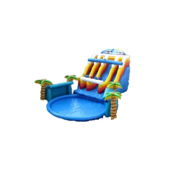 High Quality Inflatable Water Park: Giant Slide Pools for Sale