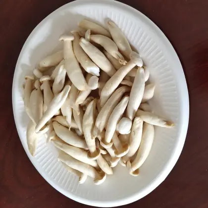 Top Quality Beech Mushrooms