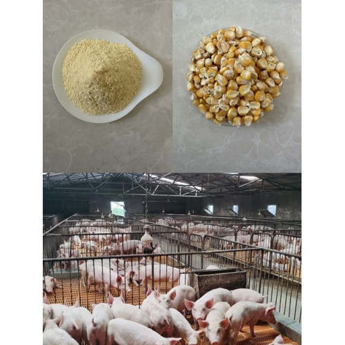 Puffed corn flour Strong animals resistance to disease