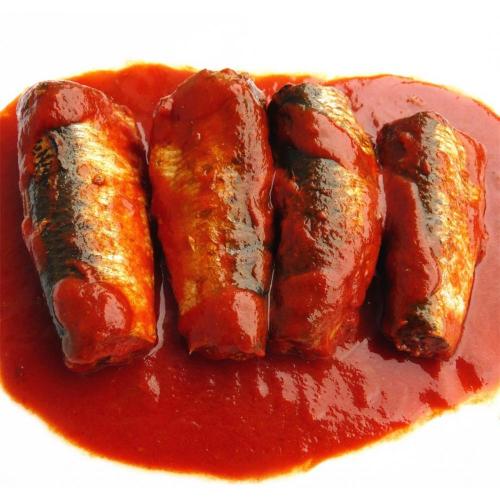 Sardinen in Dosen in Tomatensauce Fischkonserven