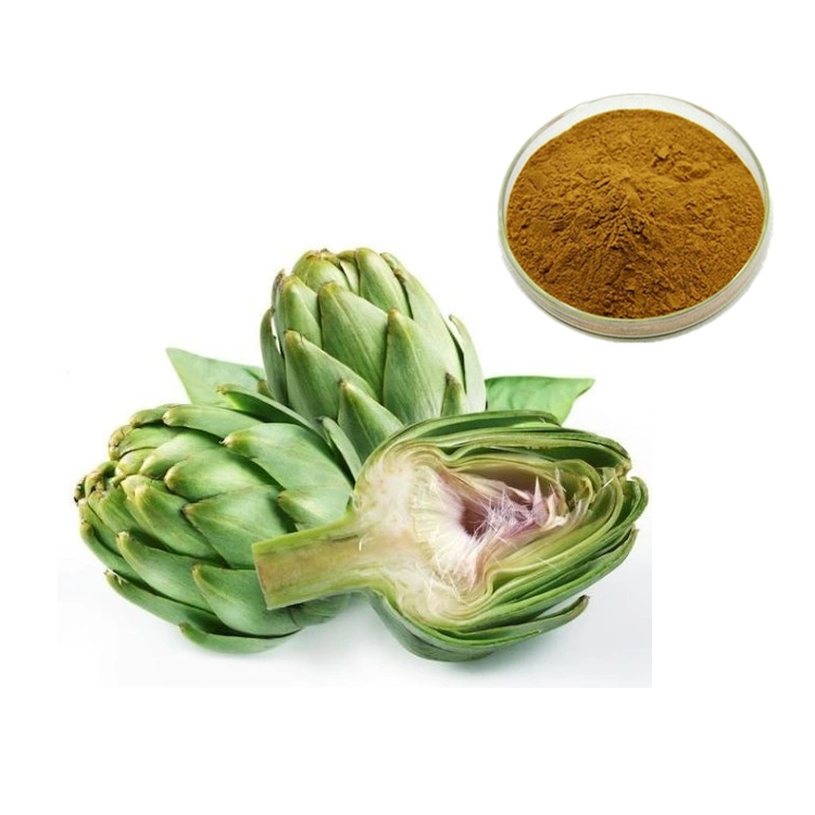 Natural 5% Cynarin From Artichoke Leaf Extract Powder