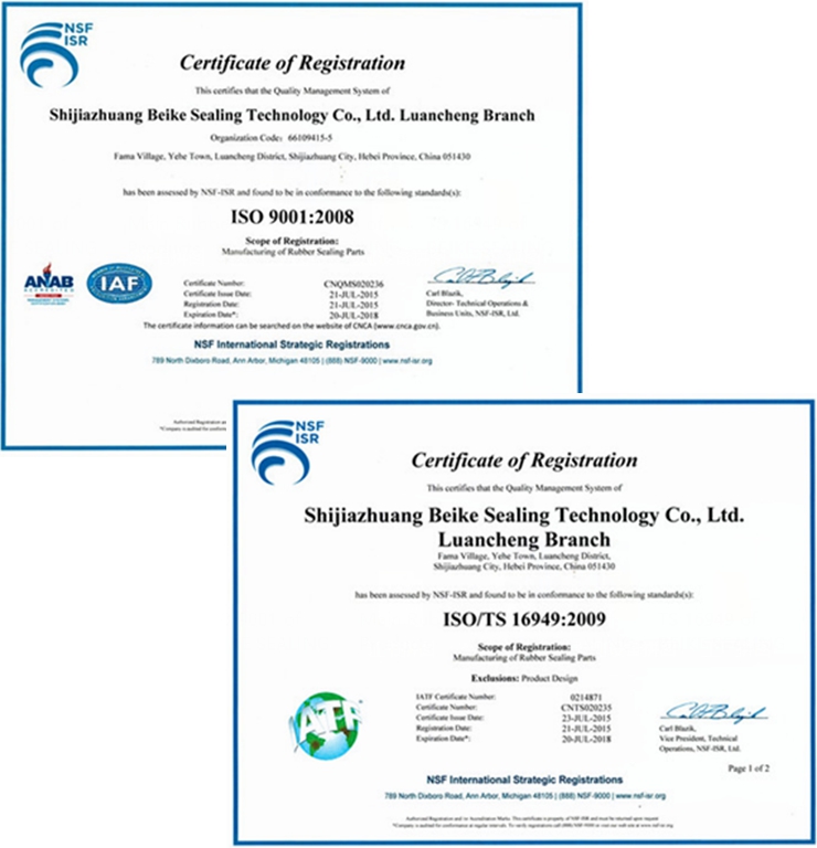 certificate-IBG