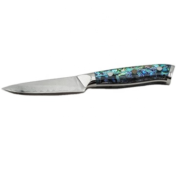 Coltello da cucina di frutta in acciaio Damasco di alta qualità personalizzato con manico acrilico abalone