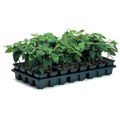 Skyplant 128 Holes Plastic Seeds Seedling Tray