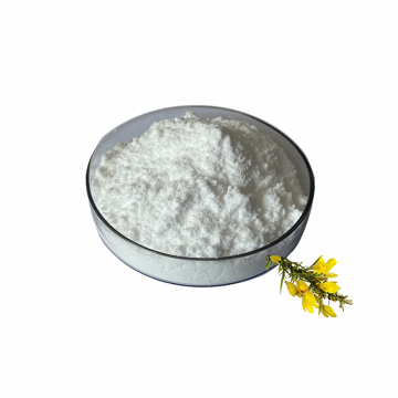 Hot Sale Supply Cytisine 98% For Health Product