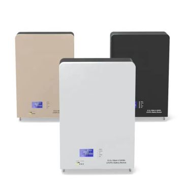 100Ah 10kWh Wall Type Hybrid Grid LiFePO4 Lithium Ion Battery 51.2V