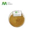 Organic Reishi Mushroom Extract Powder