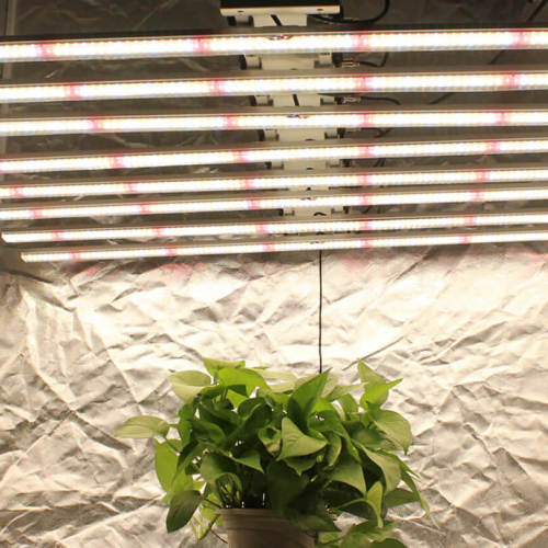 Hydroponic Violet Led Grow Light Master Controller