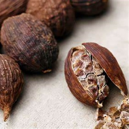 Amomum Tsaoko Extract Powder