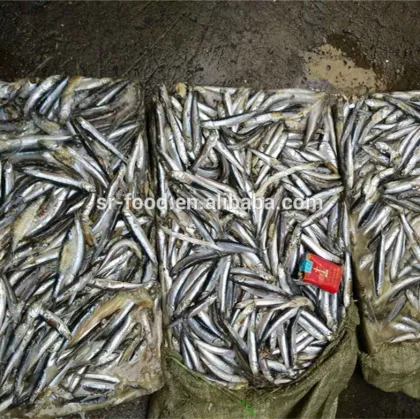 Frozen block anchovy