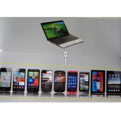 Cable Sets Mobile Phone Accessories For Samsung / Iphone / Nokia / Blackberry / Htc / Gps / Mp3