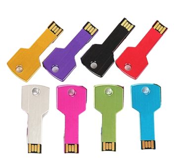 Aangepaste metalen sleutelvorm USB Flash Drive - 4 GB tot 64 GB met logo