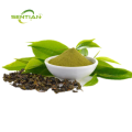 Green Tea Extract with 98 Polyphenols