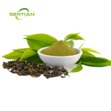 Green Tea Extract with 98 Polyphenols