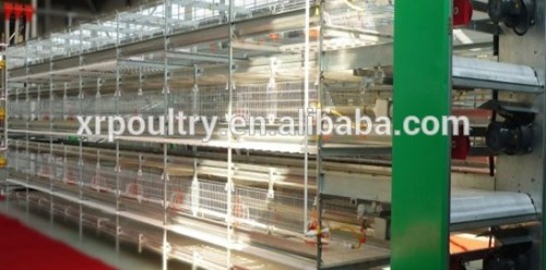 design layer chicken cages for kenya poultry farm