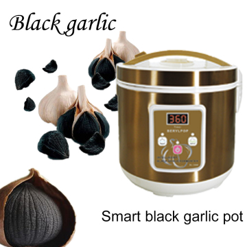 Easy To Make Fermented Garlic Hot Selling Black Garlic Pot