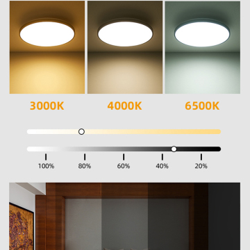 24W Graffiti APP WiFi Smart RGB Ceiling Light
