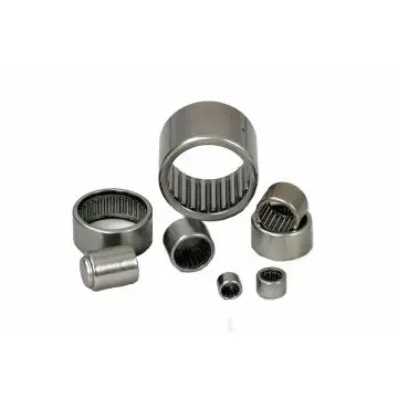Mertic Drawn Cup Caged Needle Roller Bearings