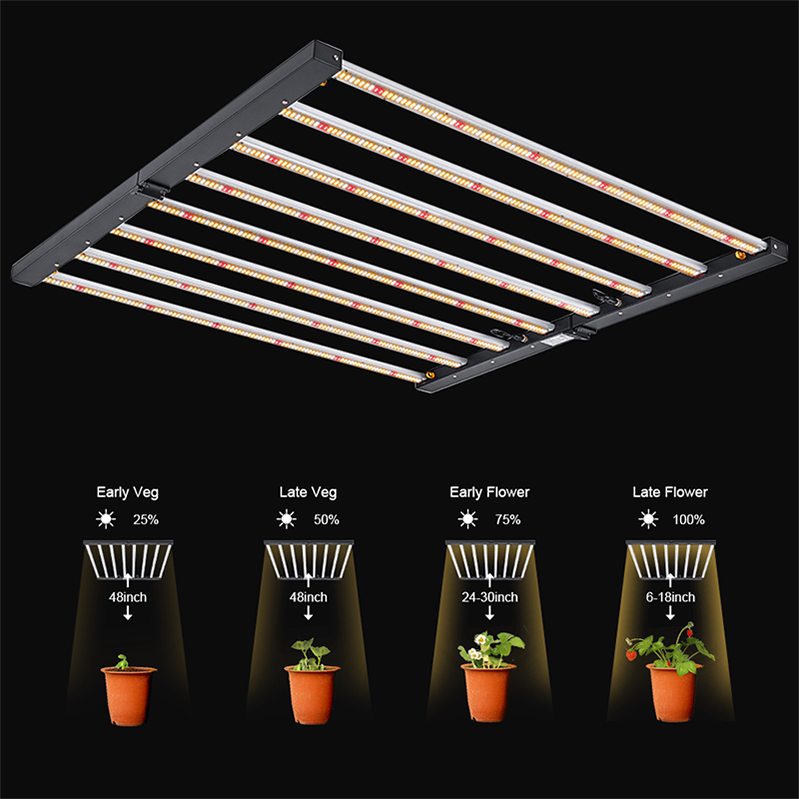 480W Grow Light