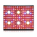 Full Spectrum LED Grow Light IR UV terbaik