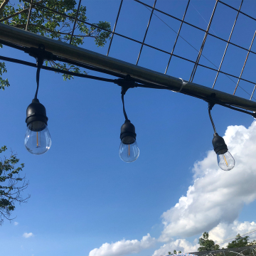 Waterproof Outdoor LED Decorative Bulbs for Christmas and Diwali Patio Cafe Garden Decor