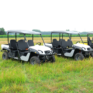 Wholesale 10 kW Electric UTV 4x4 for Adults