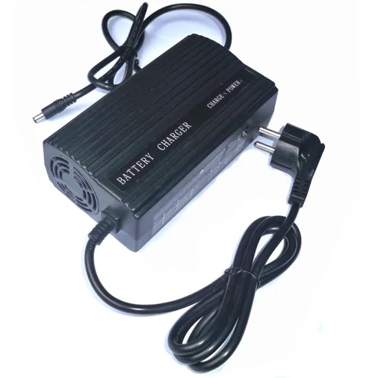 12v standard battery charger for Electric bicycle