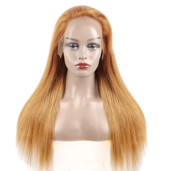 Cheap Raw Brazilian Virgin Straight Human Hair Lace Front Wig Pre Plucked Transparent Swiss Lace Front Wig for black women
