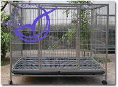 Chicken Cages