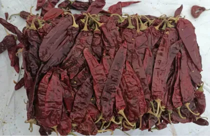Red Chilli Dried Paprika whole