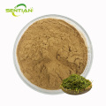 High-Quality White Tea Extract