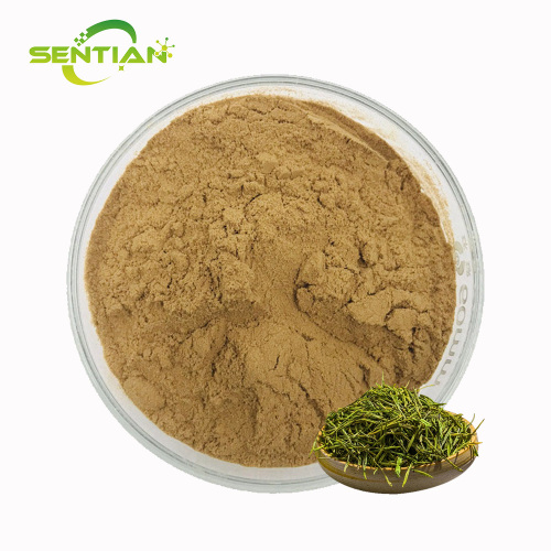 High-Quality White Tea Extract