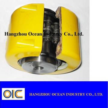 Roller Chain Coupling 6018