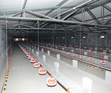 good quality poultry automatic feeding system for broiler