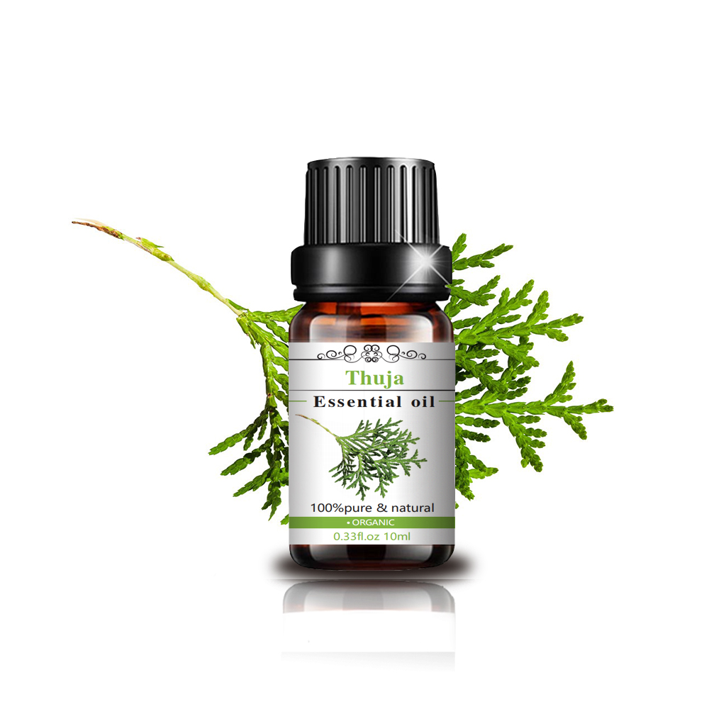 Mejor precio Pure Organic Thuja Essential Oil para el cuidado de la piel