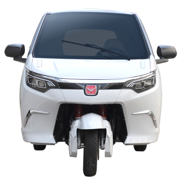 High-Quality 3000W Fully Enclosed Three Wheel Electric Tricycles - New Design
