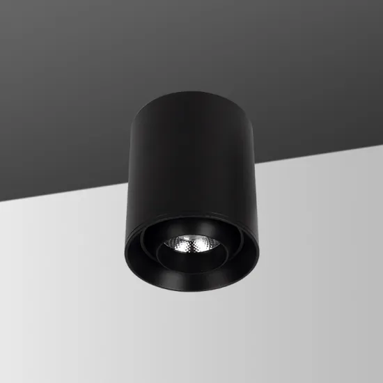 Indoor Ceiling Down Light Surface Mounted Led Spotlight