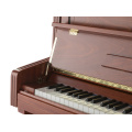 Petrof · Scholze NS-3P Upright Piano Walnut Matte Music Teaching 123cm European Petrof Craft Professional Acoustic Piano