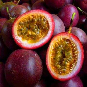 Passion Fruit Plant Fruit