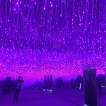 Led Fiber Optic Strands For Lighting
