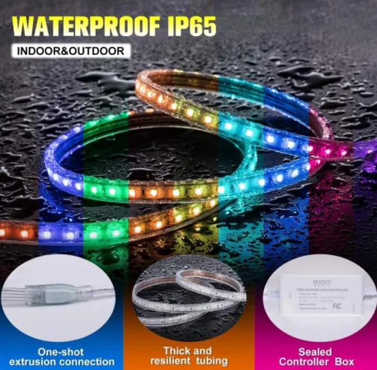 Home LED Flexible Strip