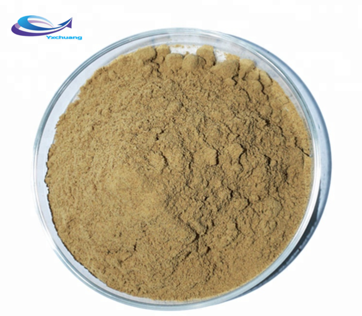 Best echinacea purpurea root extract powder Polyphenols 4%