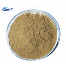 Best echinacea purpurea root extract powder Polyphenols 4%